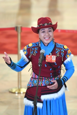 (3)全国政协委员接受采访 (3)全国政协委员接受采访