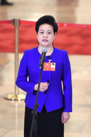 (4)全国政协委员接受采访 (4)全国政协委员接受采访