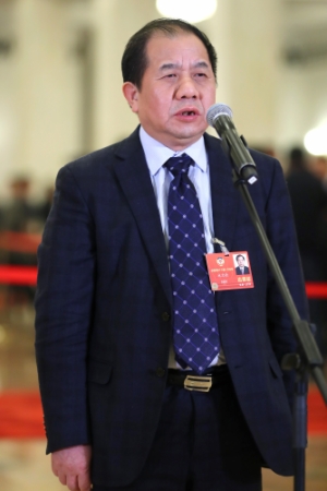 (5)全国政协委员接受采访 (5)全国政协委员接受采访