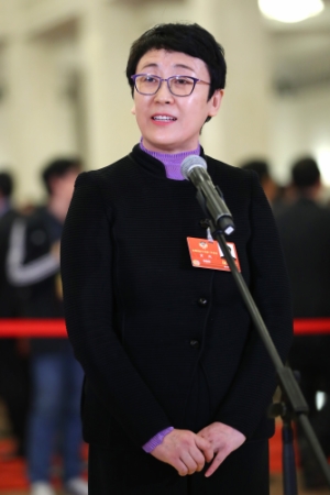 (7)全国政协委员接受采访 (7)全国政协委员接受采访