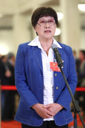 (10)全国政协委员接受采访 (10)全国政协委员接受采访