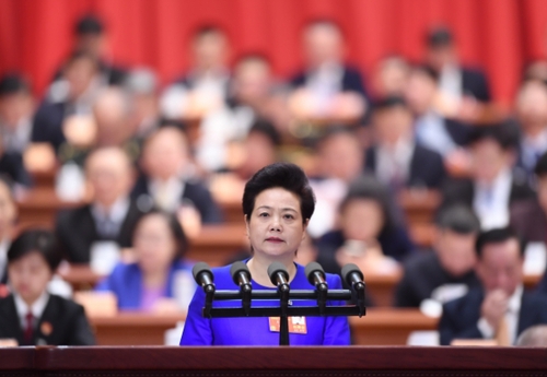 (9)全国政协十三届一次会议第三次全体会议大会发言 (9)全国政协十三届一次会议第三次全体会议大会发言