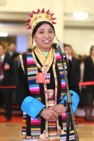 （3）全国人大代表接受采访