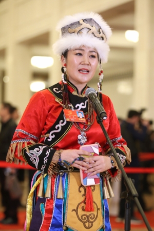 （4）全国人大代表接受采访