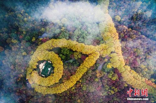 点击进入下一页