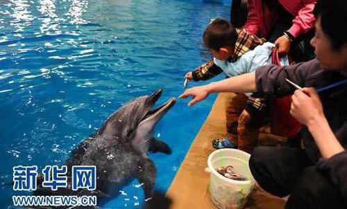 QQ截图20180313172552 QQ截图20180313172552