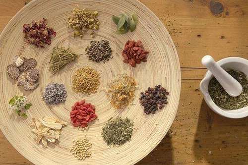 川贝枇杷膏 川贝枇杷膏