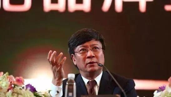 孙宏斌 图片来源:<a target='_blank' href='http://www.chinanews.com/' >中新网</a>