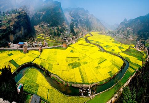 QQ截图20180319105639 QQ截图20180319105639