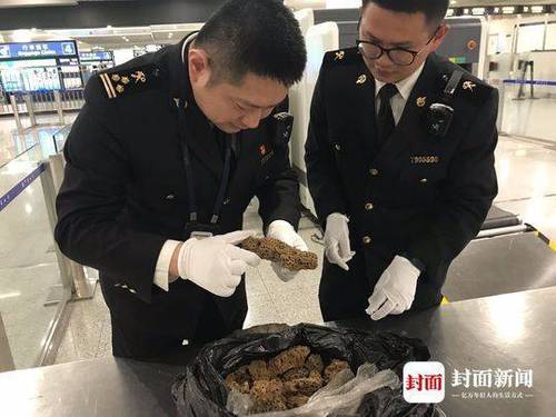 成都海关拦截大量入境活体蚂蚁 旅客称拿来泡酒