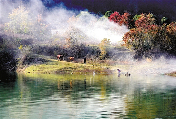 135154479_14570551479431n 135154479_14570551479431n