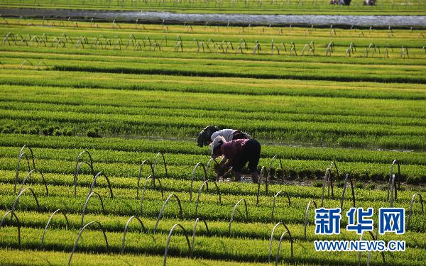 Img305537016 Img305537016