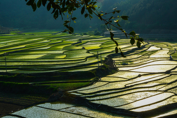 W020150413488707041377 W020150413488707041377