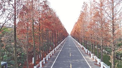 3594119188498872258 3594119188498872258