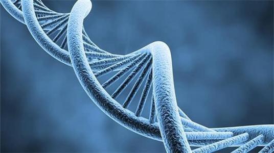 女性进行健康基因检测有啥好处？