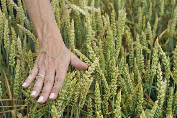 QQ截图20180323093548 QQ截图20180323093548