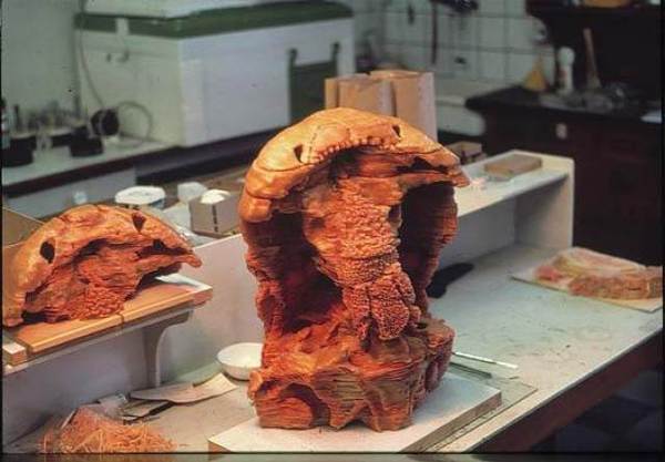 1122581163_15217816700681n 1122581163_15217816700681n