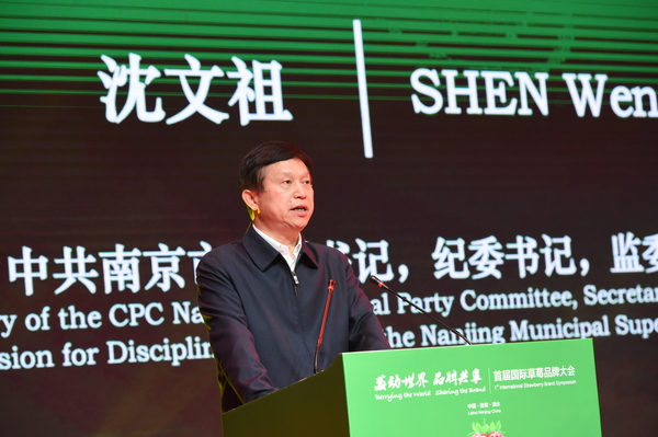 南京市委副书记沈文祖致辞 南京市委副书记沈文祖致辞