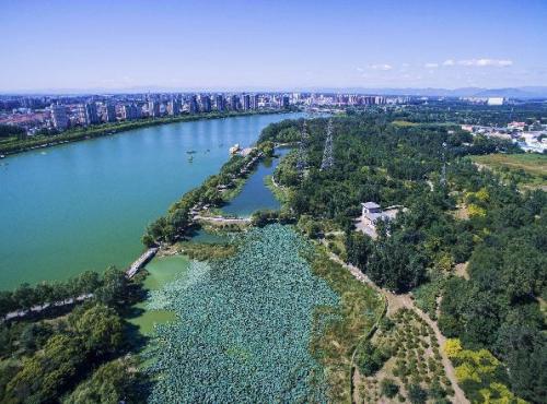 潮白河湿地(资料片)  点击进入下一页