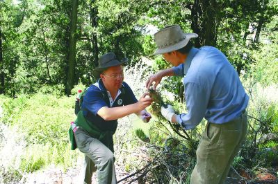 16239820941827844802 16239820941827844802