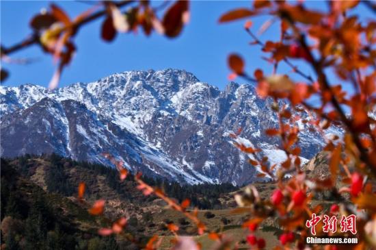 点击进入下一页