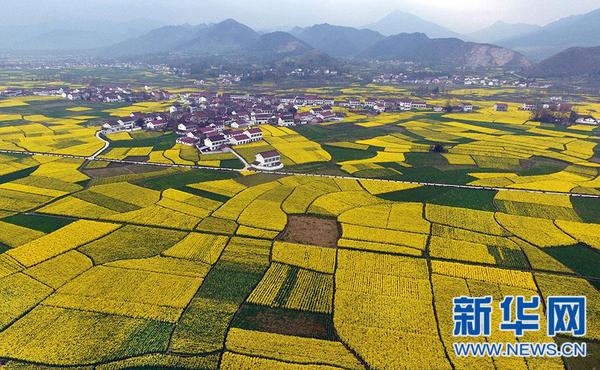 1121177336_14979413595101n 1121177336_14979413595101n