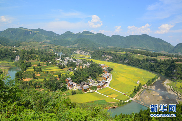 1119512779_14730560769321n 1119512779_14730560769321n