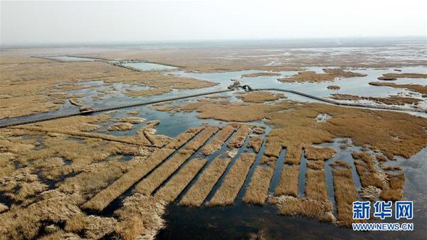 3月29日无人机拍摄的白洋淀景区。自2017年4月1日横空出世，白洋淀所在的河北雄安新区设立至今已届周年。雄安新区设立一周年之际，世界目光再次聚焦这个新时代中国改革开放的新地标。