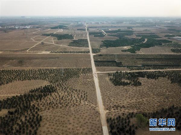 3月30日无人机拍摄的雄安新区“千年秀林”工程施工现场。自2017年4月1日横空出世，白洋淀所在的河北雄安新区设立至今已届周年。雄安新区设立一周年之际，世界目光再次聚焦这个新时代中国改革开放的新地标。