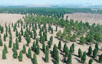 1122617945_15224526100191n 1122617945_15224526100191n