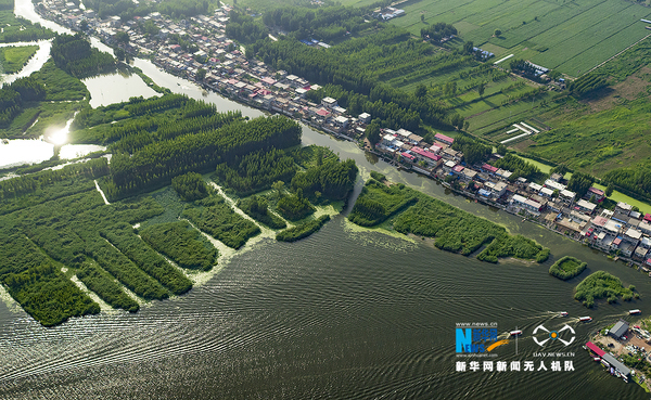 1121288550_14995669970541n 1121288550_14995669970541n