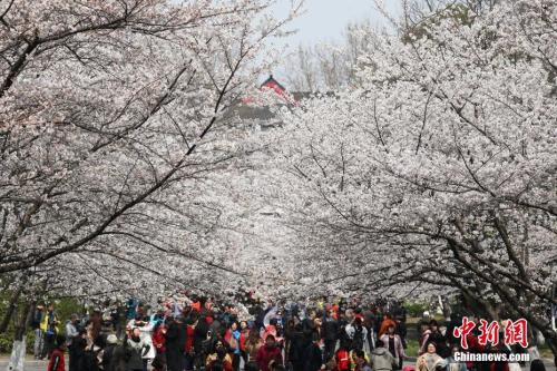 点击进入下一页