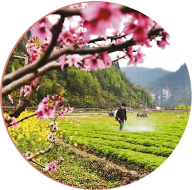 1522691581542_1 1522691581542_1