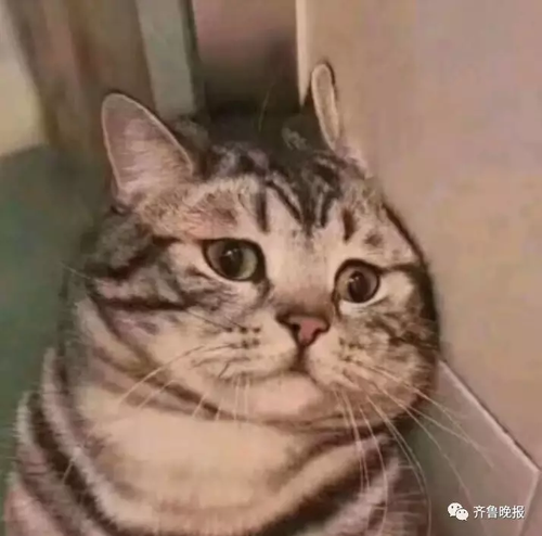 咋回事?走失男童见警察大哭半小时 大喊不要不要