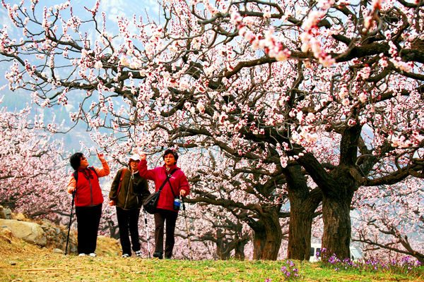 B20180404001-zx6 B20180404001-zx6