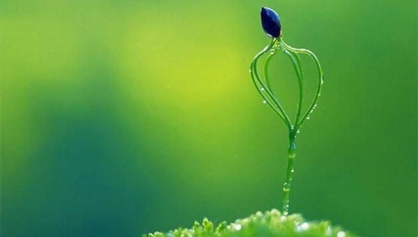 MAIN201804041010491932231985029 MAIN201804041010491932231985029