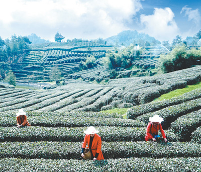 1122646655_15231450699411n 1122646655_15231450699411n