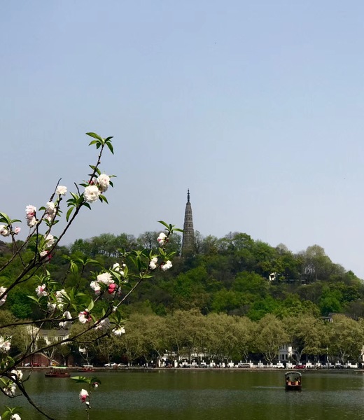 微信图片_20180408105252 微信图片_20180408105252