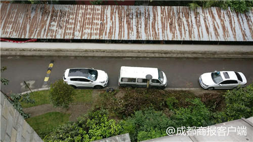 小区50多棵树被移栽业主却不知情 城管局:属违规