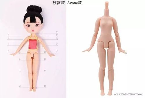 故宫扫不扫雪?博鳌论坛上故宫掌门人回答这些问题