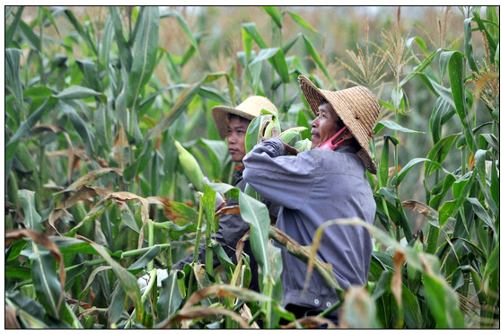 35c5571d2642844202e552327e7a3518 35c5571d2642844202e552327e7a3518