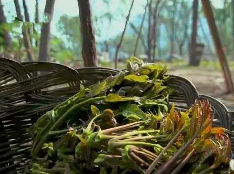 QQ截图20180411092407 QQ截图20180411092407