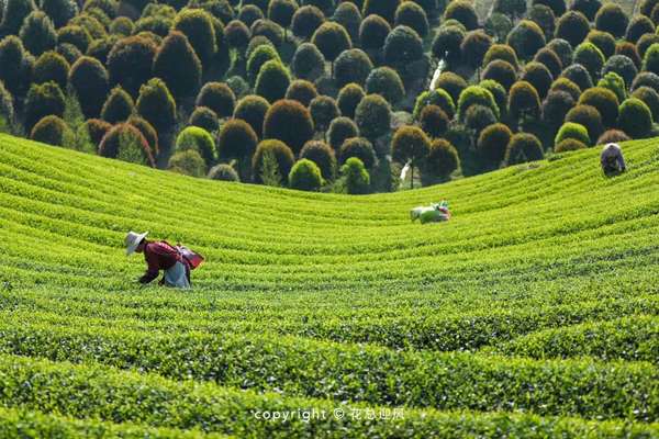 微信图片_20180411095424 微信图片_20180411095424