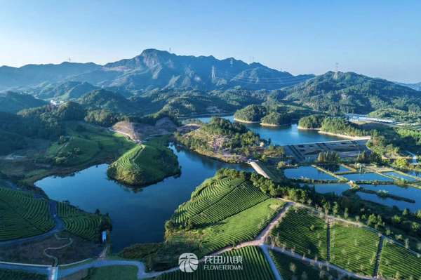 微信图片_20180411095431 微信图片_20180411095431