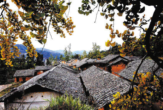 W020121130329173838460 W020121130329173838460