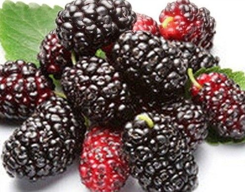 U58P16T10D35430F274DT20140402085831 U58P16T10D35430F274DT20140402085831