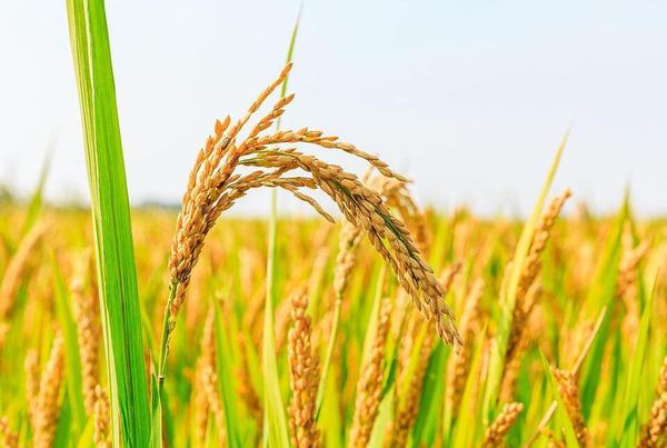 QQ截图20180416104333 QQ截图20180416104333