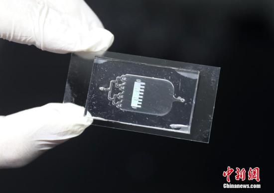 4月2日，东南大学生物医学工程学院生物电子学国家重点实验室赵远锦教授在南京展示由他带领的课题组研发的“变色龙”心脏芯片。据了解，“器官芯片”是利用微加工技术，通过在微流控芯片上仿生构建微器官来替代生物体，进行药物评估和生物学研究等，该项技术作为构建未来新药评价体系的重要发展趋势，近年来越来越受到业界关注。<a target='_blank' href='http://www.chinanews.com/'>中新社</a>记者 泱波 摄