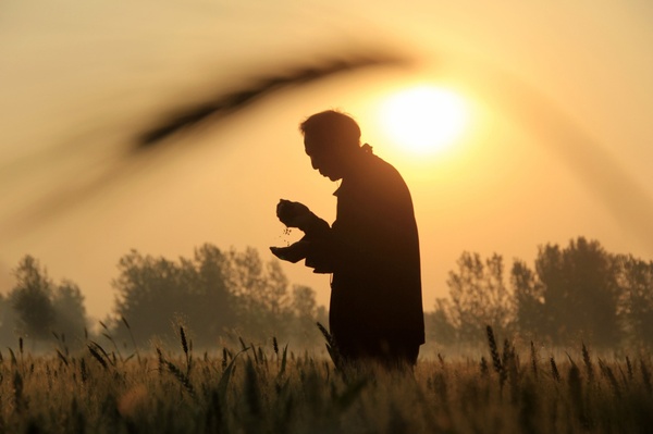 W020160520313561713888 W020160520313561713888