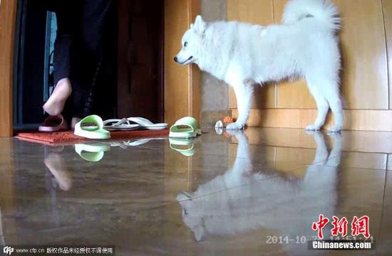 点击进入下一页